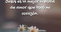 Vosotros veis una historia de amor The first that greets you is the gentle rustling of the leaves in the wind, a soothing