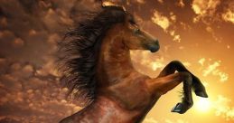 Caballo Lucho