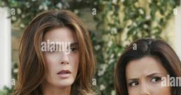 Desperate Housewives (2004) - Season 1
