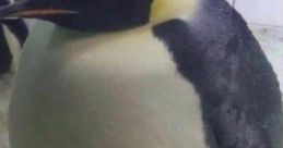 Im da biggest of biggest bird