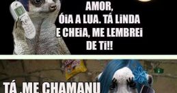 Nhe nhe chora bebê