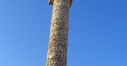Umpalmarcus