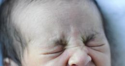 Bebe llorandho 2 "Bebe llorandho 2" is filled with a cacophony of that evoke a range of emotions. The first that stands