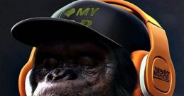 Coolmonkey