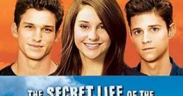 The Secret Life of the American Teenager (2008) - Season 3