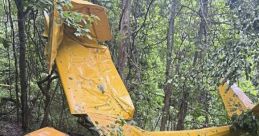 Tiny Plane with Empty Fuel Tank Falls