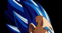 VTNC Vegeta Plus