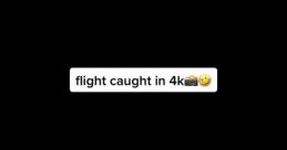 Flightreacts banging door effect