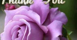 Thank for the Rose