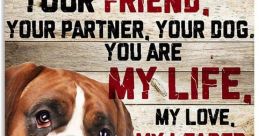 Dog I am