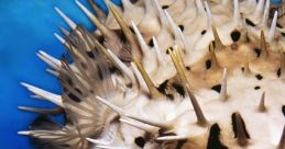 Puffer fish ugh Puffer fish ugh. A low, guttural escaping through clenched teeth. The of frustration, of annoyance, of