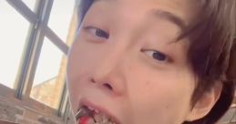 FELIX EAT UR serial The first that comes to mind when thinking of FELIX EAT UR serial is a sharp, electronic beep. This is
