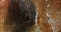 Sucumba When you first hear the word "Sucumba," it may not immediately conjure up any specific image or feeling. However,