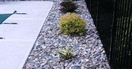Rock-on-the-ground
