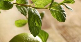 Limonb