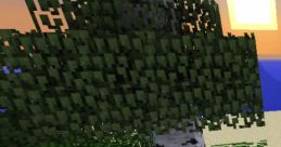 Minecraft Java edition