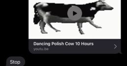 Dancing Polish Mouse Meme