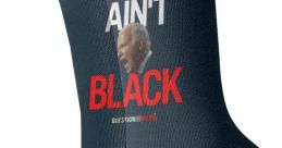 Biden - You Ain't Black