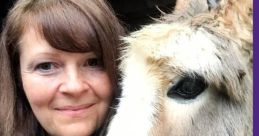 DonkeyBae