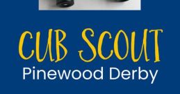 Pinewood Derby Start