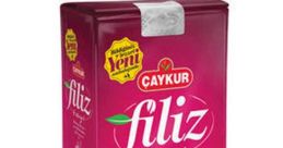 Filiz (Turkish)