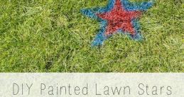 WHAT'S UP LAWN STARS !