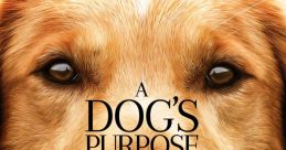 A Dog's Purpose