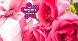 Merveilleux qui etes vous