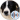 Duncan (English Australia)