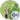 Pelayo (Spanish Mexico)