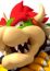 Bowser Sounds: New Super Mario Bros. Wii