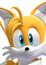 Tails Sounds: Shadow The Hedgehog