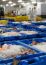 Fish Market: Grimsby Soundboard