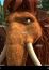 Ellie - Ice Age 2: The Meltdown - Voices (PlayStation 2)