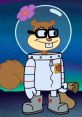 Sandy Cheeks (SpongeBobuarePants) Type your text and hear it in the voice of Sandy Cheeks (SpongeBobuarePants).
