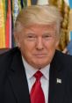 Donald Trump Type your text and hear it in the voice of Donald Trump.