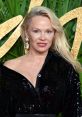 Pamela Anderson Type your text and hear it in the voice of Pamela Anderson.
