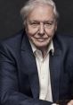 Sir David Attenborough Type your text and hear it in the voice of Sir David Attenborough.