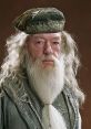 Albus Dumbledore from Harry Potter 1 & 2, showcasing his iconic look with silver beard and ornate hat, exuding wisdom.