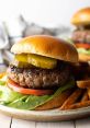 Hamburger Type your text to hear it in the voice of Hamburger.