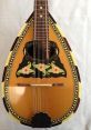 Literally a recording Mandolin - Mandolino (Classic italian Guitar) Type your text to hear it in the voice of Literally a
