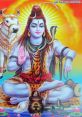 Shiva Type your text to hear it in the voice of Shiva.