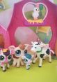 Trip Hamston (Littlest Pet Shop) Type your text to hear it in the voice of Trip Hamston (Littlest Pet Shop).