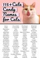 Whiskers, The Kitten Who Can Name Fruit Type your text to hear it in the voice of Whiskers, The Kitten Who Can Name Fruit.