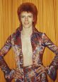 David Bowie (Ziggy Era) Type your text to hear it in the voice of David Bowie (Ziggy Era).