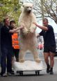 CJ The Polar Bear (bmcj199-HotelBrando) Type your text to hear it in the voice of CJ The Polar Bear (bmcj199/HotelBrando).