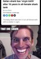 Sharkl (Italian Youtuber) (Repost) Type your text to hear it in the voice of Sharkl (Italian Youtuber) (Repost).