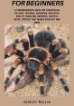 Tarantula (AJPcrosser), Trained Type your text to hear it in the voice of Tarantula (AJPcrosser), Trained.