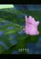 Ditto Sounds: Pokemon Snap