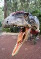 Allosaurus dinosaur Allosaurus